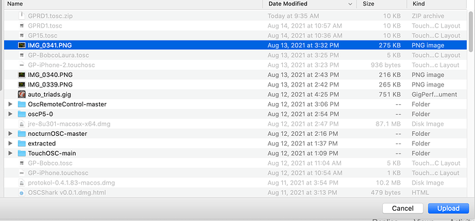 zip file ext still greyed out
