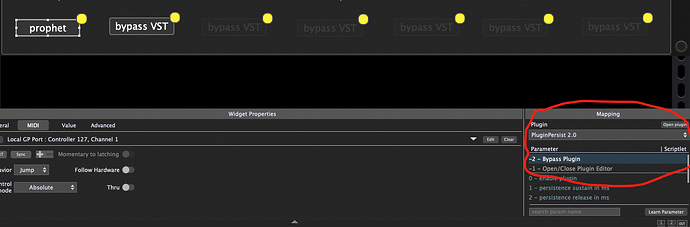 plugin parameter assignment
