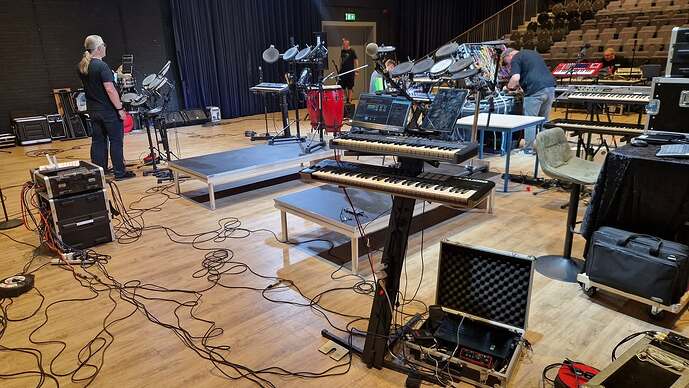 La-Luna-Noire-Gig-Performer