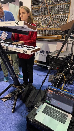 Rachel-Flowers-Gig-Performer-in-Action