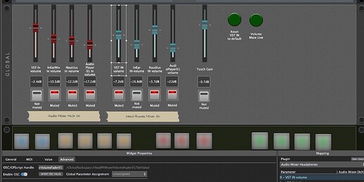 GigPerformer_macOS_FaderView_Settings