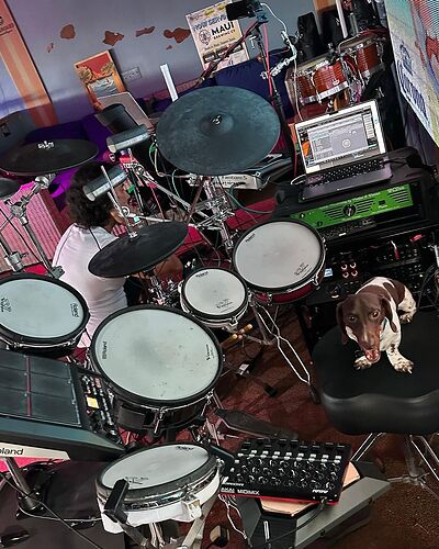 Gig-Performer-drums